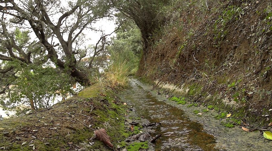 Exposici&oacute;n Multimedia Likuit Water Cultures en instituto Cervantes. Oran (Argel&iacute;a)