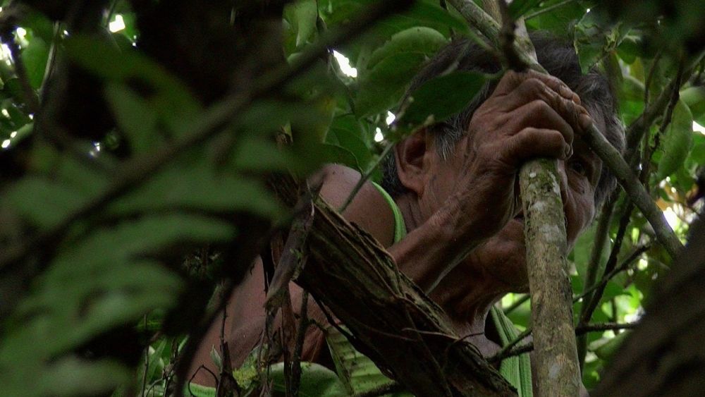Likuit en la Amazonía Ecuatoriana